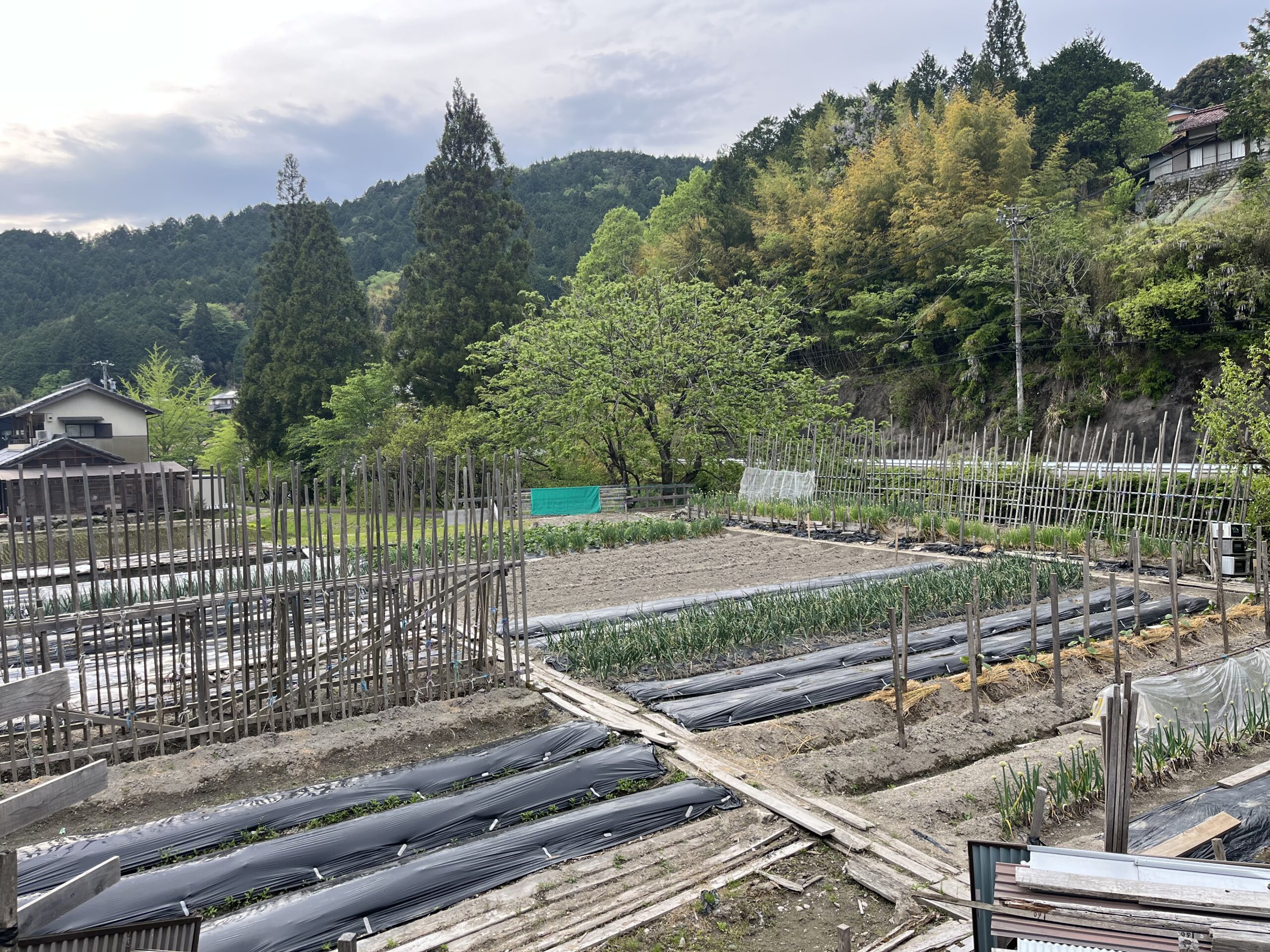 【知多校＆愛西校＆稲沢校＆みなと校】『コーチのプライベート日記』先日実家に帰省してきました！